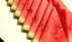 西瓜美食吃瓜视频