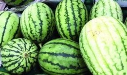 吃瓜群众快变绿,从围观到变绿的奇妙转变