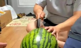 可以吃瓜直播间,带你走进可以吃瓜直播间的奇妙世界