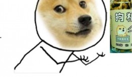 520吃瓜还是吃狗粮好,吃瓜还是吃狗粮，甜蜜选择大揭秘！