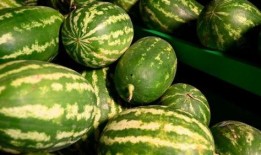 龙州吃瓜事件,一场引发热议的网络狂欢与反思