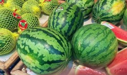 当水果吃的瓜,当水果吃的瓜，美味与营养并存