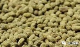 封丘同城吃瓜,揭秘本地热点事件背后的故事