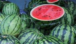 夏天了吃瓜,吃瓜攻略，清凉一夏！