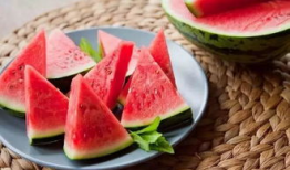 浙江最新吃瓜事件,揭秘网络热议事件背后的真相