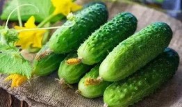 夏天了吃瓜,吃瓜攻略，清凉一夏！