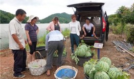 湘潭吃瓜团,揭秘当地特色美食背后的故事