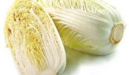 烈焰白菜吃瓜吃自己头上