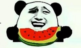 怎么吃瓜微信,微信上的热门话题解析