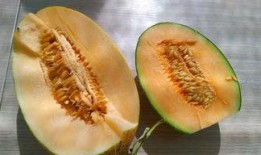 瓜州吃瓜事件最新进展,最新进展揭示惊人内幕