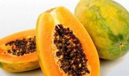 梦见自己吃的好多瓜,瓜果盛宴，揭秘梦境中的美食诱惑