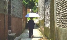 吃瓜群众故事作文,吃瓜群众的奇幻故事