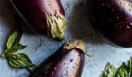 吃茄瓜多会怎样,过量食用茄瓜的健康影响揭秘