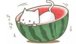 吃饭遇到吃瓜,舌尖上的欢乐时光