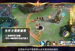 峡谷吃瓜评论,揭秘热门游戏背后的精彩评论风云