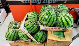 郑州吃瓜情报处,揭秘本地美食风云录