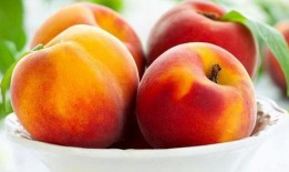 吃桃后多久能吃瓜,揭秘吃桃与吃瓜的最佳间隔