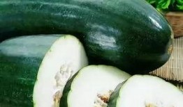棚瓜老了怎么吃,探索老棚瓜的多重吃法