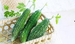 鹅颈瓜怎么吃,解锁美味新体验