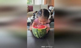 写作业与吃瓜,双重享受的午后时光