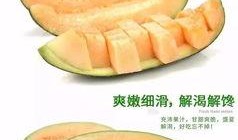 哈密瓜嫩瓜怎么吃最好,哈密瓜嫩瓜的鲜美食法指南