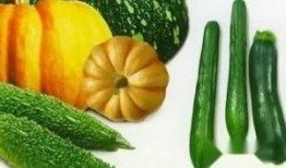 吃瓜老手叫什么