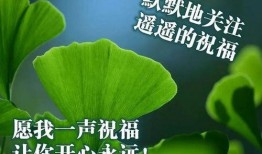 缘分让我们相遇吃瓜,一段奇妙的缘分美食之旅