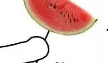 准备吃瓜的图片,一起“吃瓜”解暑趣事