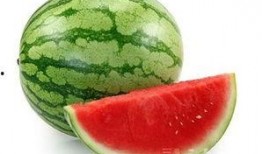 吃兹瓜有好处吗,兹瓜营养价值与食用益处解析