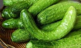 陈家港吃瓜,一场吃瓜盛宴背后的故事