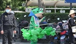 吃瓜青蛙和城管,一场别开生面的街头冲突