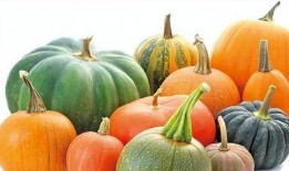 吃瓜不瓜地瓜,揭秘地瓜的神奇魅力