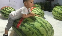 济宁最新吃瓜事件