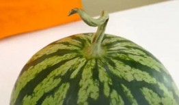 吃瓜打开正确方式