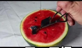 夏季吃瓜必备神器,吃瓜必备的清凉伴侣
