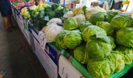 大妈玉米地吃瓜,意外发现隐藏的田园乐趣