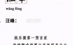 汪峰定律吃瓜日常,揭秘娱乐圈的“瓜田”奇观