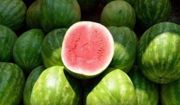 东北吃瓜方法,解锁夏日清凉新姿势