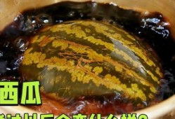 煮瓜吃搞笑,一场别开生面的烹饪喜剧之旅