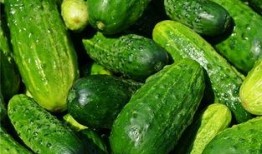 梦见吃瓜烂,瓜熟蒂落，揭秘吃瓜烂生的神秘寓意