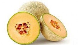 南倾在线吃瓜,揭秘娱乐圈的“吃瓜”盛宴