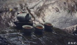 吃瓜喝茶看热闹,吃瓜喝茶，品味人间百态