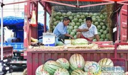 常州新北区吃瓜,瓜果飘香，品味生活新篇章