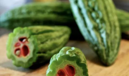 郭嘉豪吃瓜,揭秘娱乐圈幕后真相