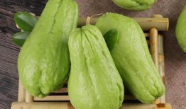 请问这佛手瓜怎么吃,探索美味与健康的完美结合