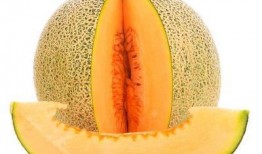 缺少津液吃哈密瓜,哈密瓜来助——润燥生津的夏日良选