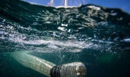 核废水吃瓜,吃瓜群众如何应对潜在风险