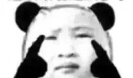 等你瓜怎么吃,探索“等你瓜怎么吃”的多元解读与趣味应用