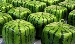 吃瓜中国真假,真假新闻背后的真相与反思