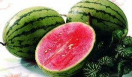夏季吃瓜必备的食物